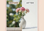 do bulk image background removal and pro photo retouching service